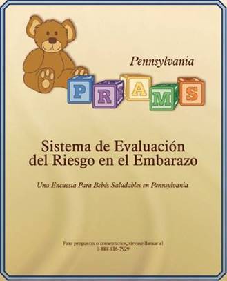PRAMS booklet Spanish